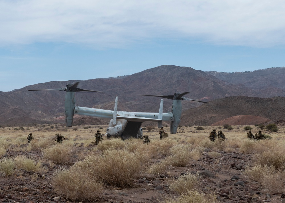 Bull Shark 25-2: US strengthens alliances, collectively boosts regional security capabilities in East Africa
