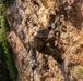 U.S. Marines Execute Casualty Evacuation Training during Jungle Leaders Course