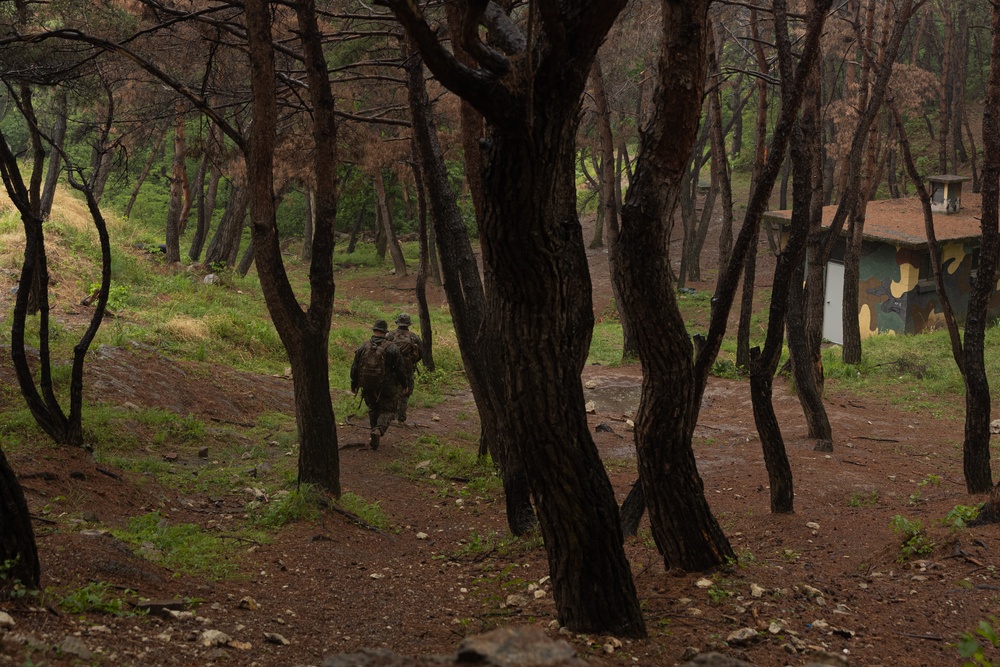 Activated Reserve Marines Conduct Land Navigation during Korea Viper 25.4