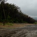 Activated Reserve Marines Conduct Land Navigation during Korea Viper 25.4