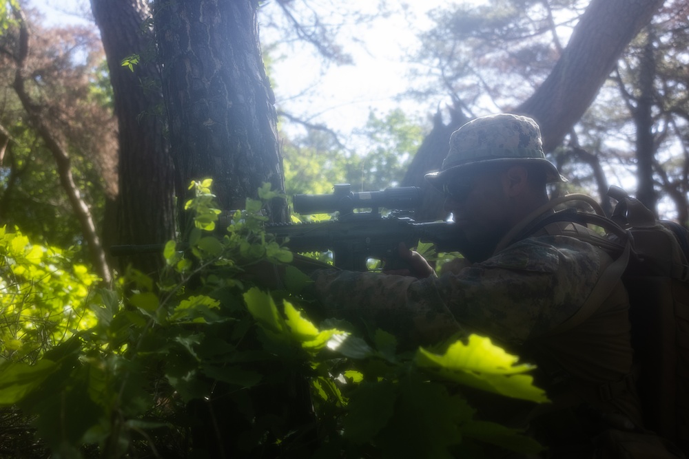 Activated Reserve Marines Patrol during Korea Viper 25.4