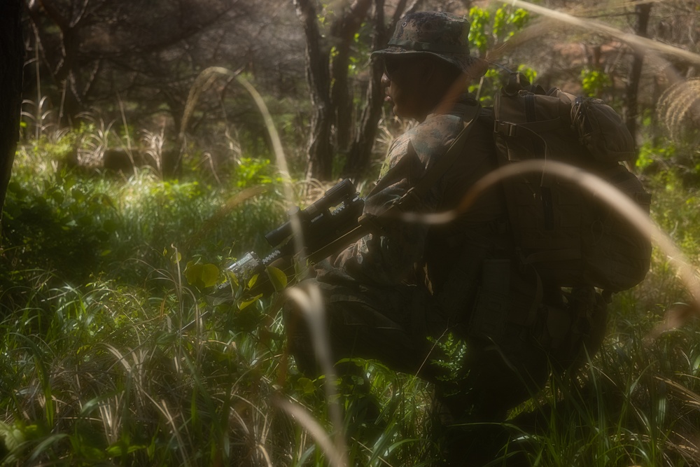 Activated Reserve Marines Patrol during Korea Viper 25.4