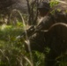 Activated Reserve Marines Patrol during Korea Viper 25.4