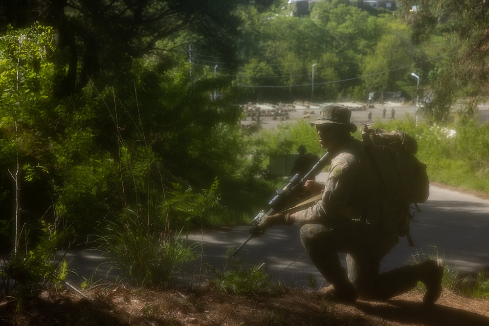 Activated Reserve Marines Patrol during Korea Viper 25.4