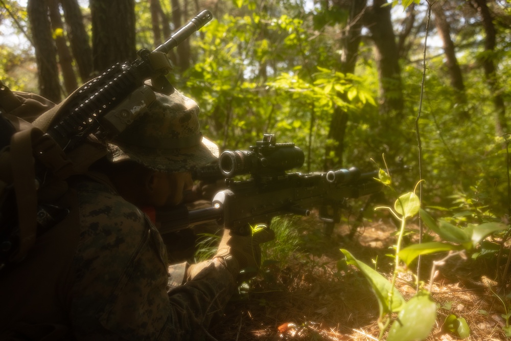 Activated Reserve Marines Patrol during Korea Viper 25.4