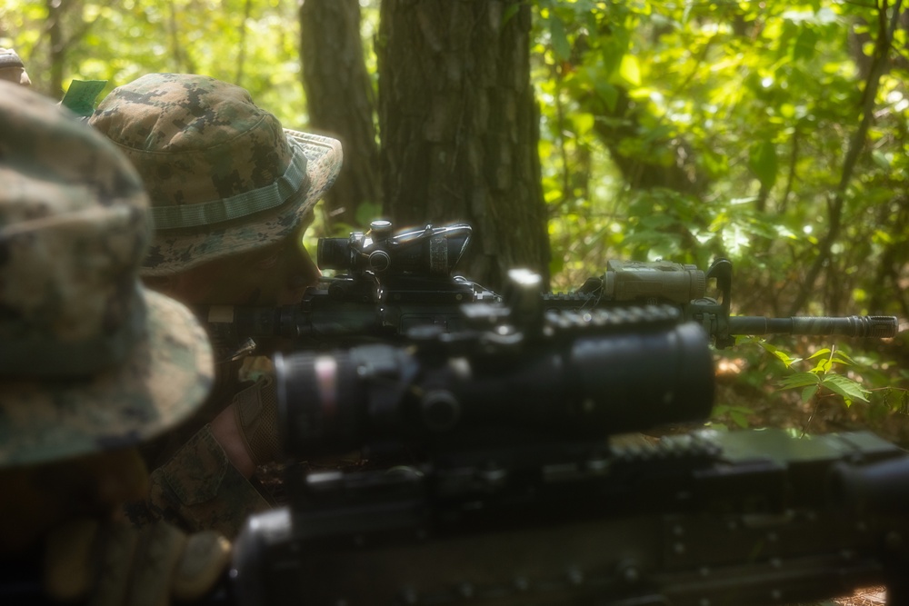 Activated Reserve Marines Patrol during Korea Viper 25.4