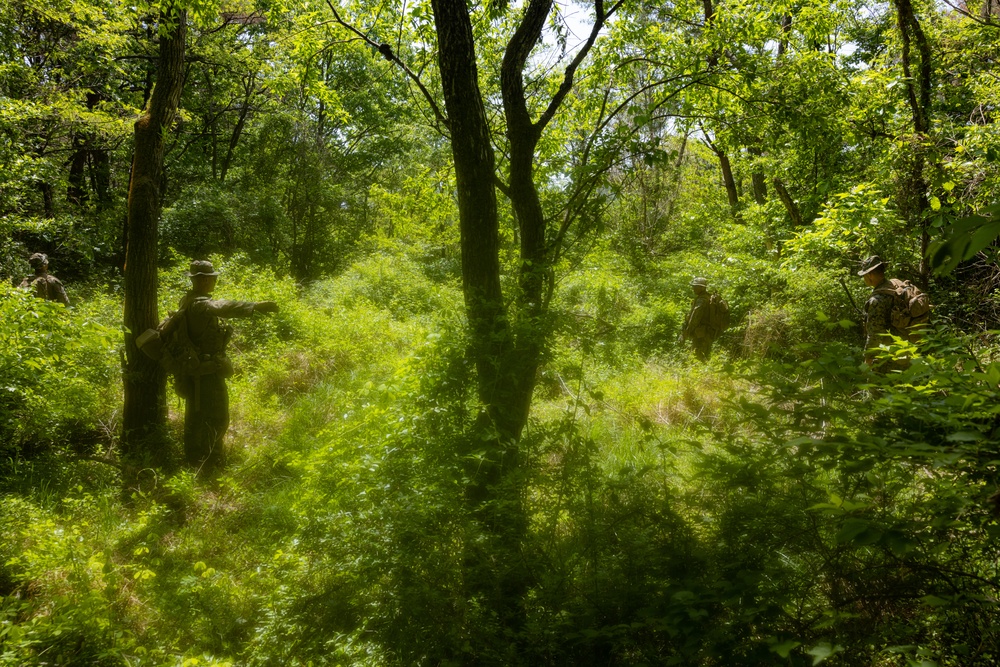 Activated Reserve Marines Patrol during Korea Viper 25.4