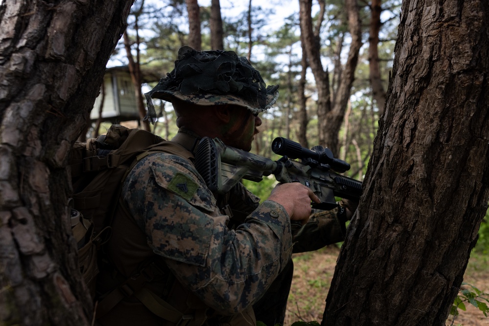 Activated Reserve Marines Conducts Patrol Exercise during Korea Viper 25.4