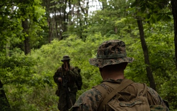Activated Reserve Marines Conducts Patrol Exercise during Korea Viper 25.4
