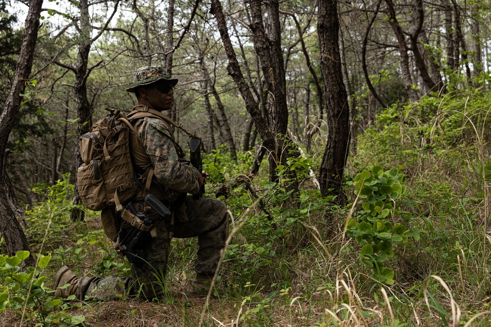 Activated Reserve Marines Conducts Patrol Exercise during Korea Viper 25.4