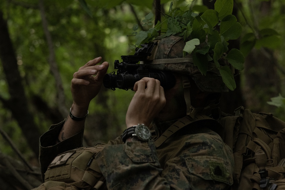 Activated Reserve Marines Conducts Patrol Exercise during Korea Viper 25.4