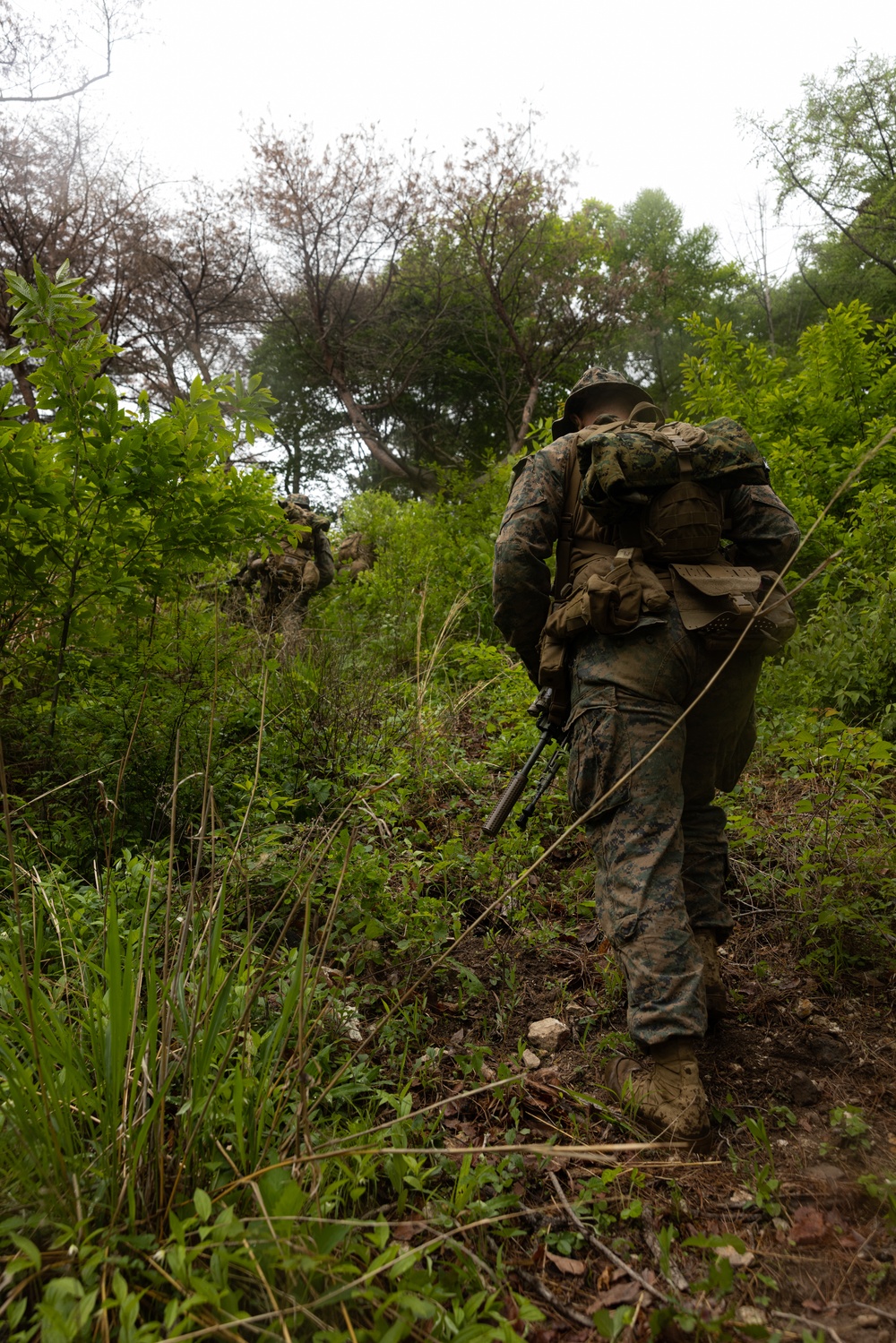 Activated Reserve Marines Conducts Patrol Exercise during Korea Viper 25.4