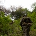 Activated Reserve Marines Conducts Patrol Exercise during Korea Viper 25.4