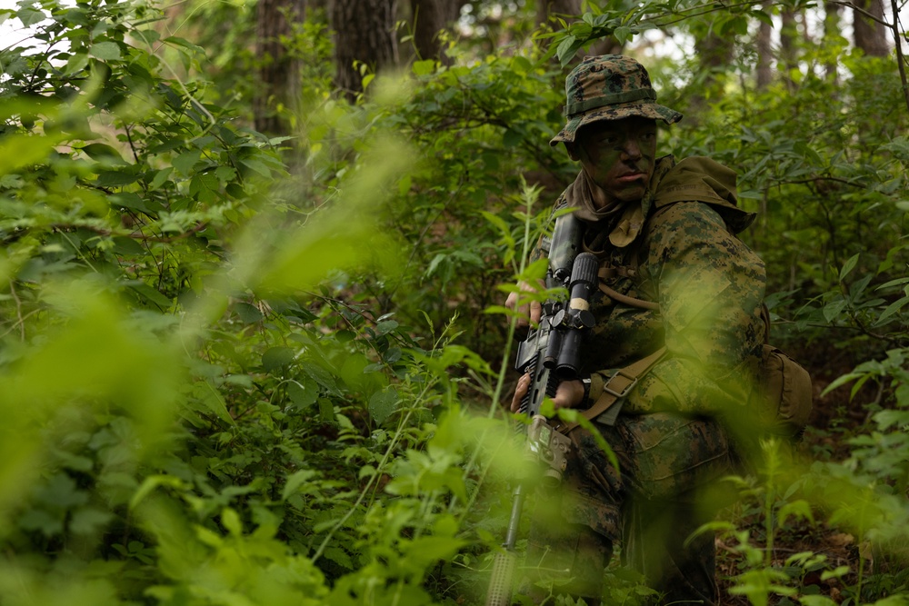Activated Reserve Marines Conducts Patrol Exercise during Korea Viper 25.4