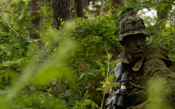 Activated Reserve Marines Conducts Patrol Exercise during Korea Viper 25.4