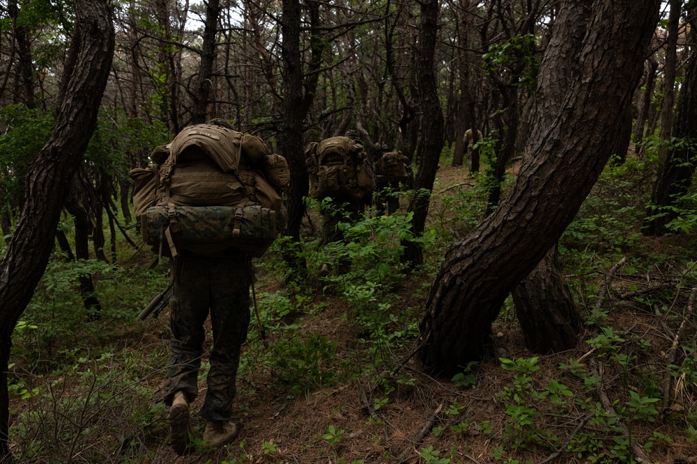 Activated Reserve Marines Conducts Patrol Exercise during Korea Viper 25.4