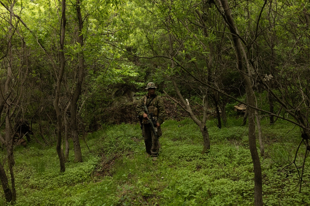 Activated Reserve Marines Conducts Patrol Exercise during Korea Viper 25.4