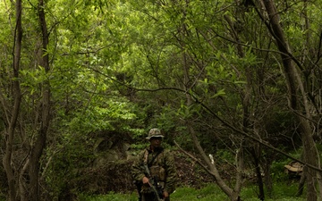 Activated Reserve Marines Conducts Patrol Exercise during Korea Viper 25.4