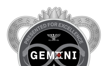 AMLC Gemini coin