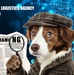 The Clue in the Code: why DLA needs high data acumen