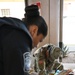 Arizona National Guard’s Task Force SAFE strengthens border security