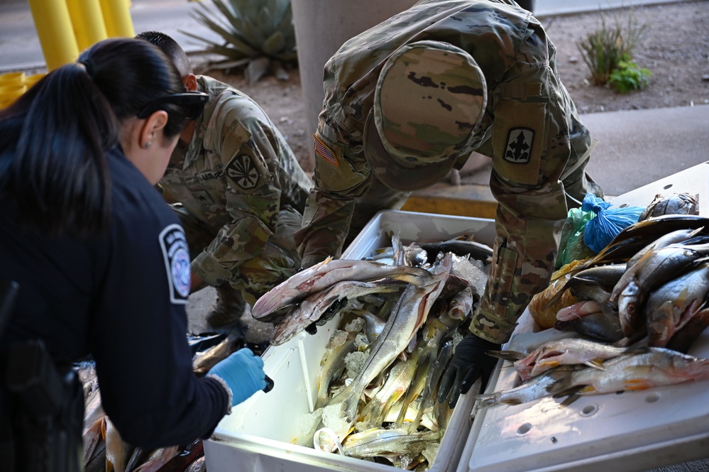 Arizona National Guard’s Task Force SAFE strengthens border security