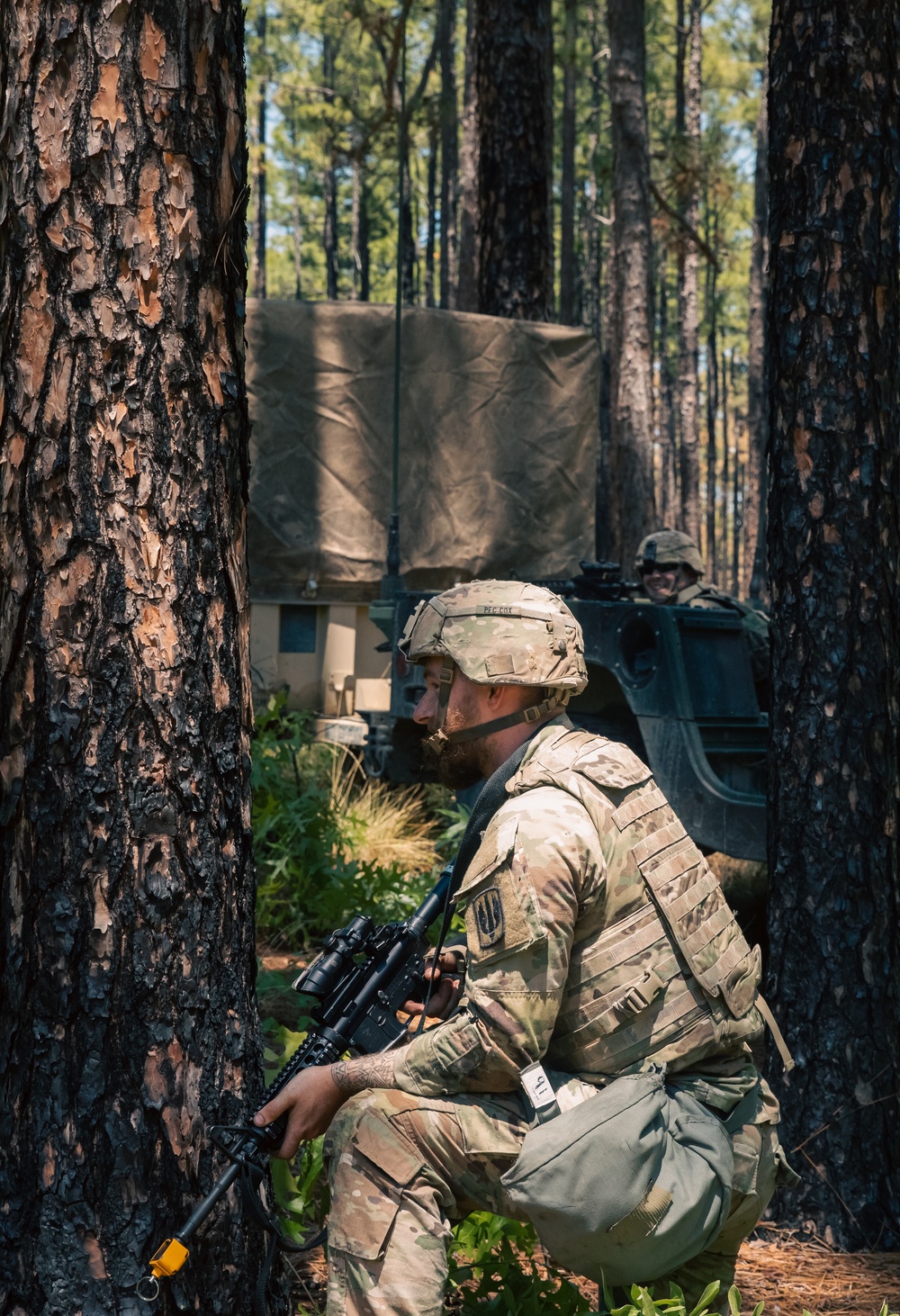 Table XV Field Exercise