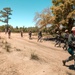 Table XV Field Exercise