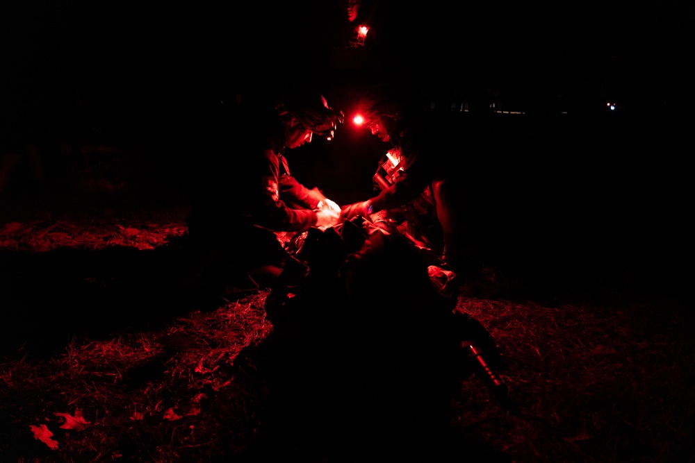 RTI Combat Medic Ambush and Mass Casualty Situational Training Exercise
