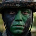 Multi-national infantrymen learn about jungle operations during CG25