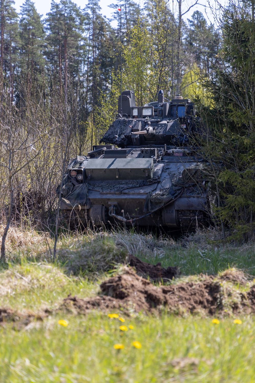 U.S. Army Participates in Multinational Training Exercise in Estonia (Hedgehog)