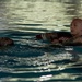 Devil Dogs can swim