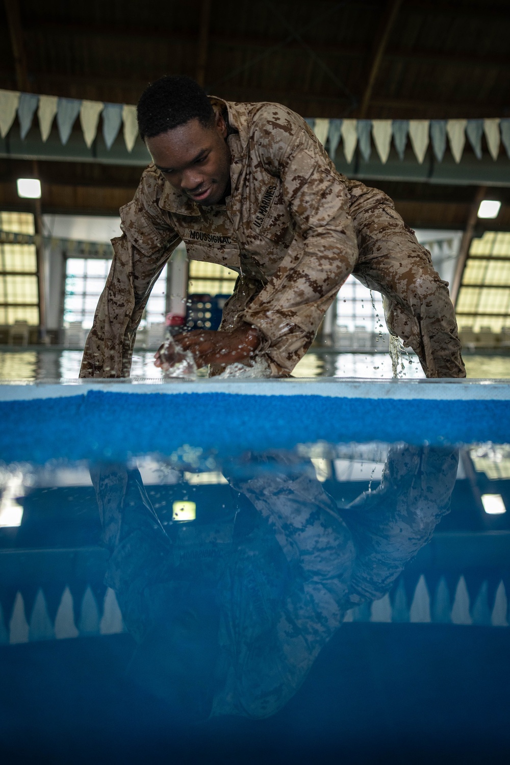 Devil Dogs can swim