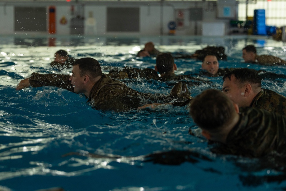 Devil Dogs can swim