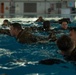 Devil Dogs can swim