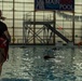 Devil Dogs can swim