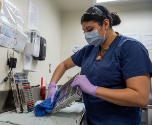 Pacific Pulse: 24 May 2019