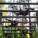 V Corps BSC - Obstacle Course
