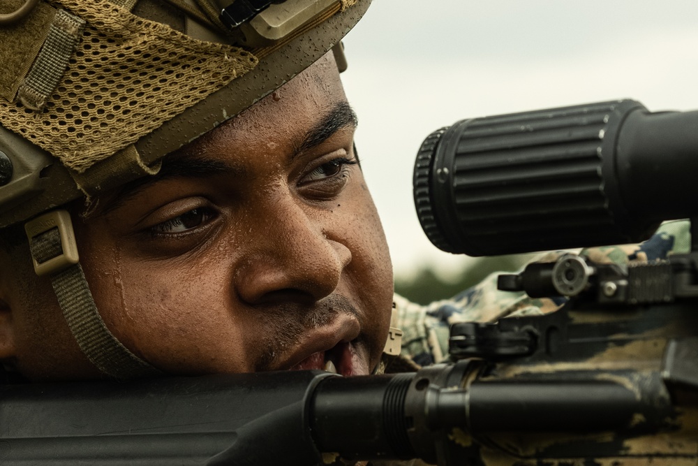 2d Battalion, 6th Marine Regiment Participates in TSULC: Live-Fire Ranges