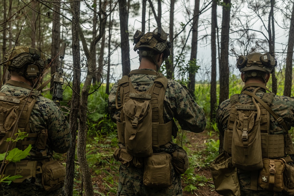 2d Battalion, 6th Marine Regiment Participates in TSULC: Live-Fire Ranges