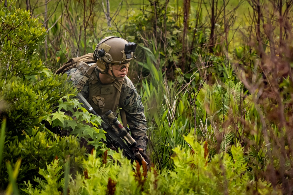 2d Battalion, 6th Marine Regiment Participates in TSULC: Live-Fire Ranges