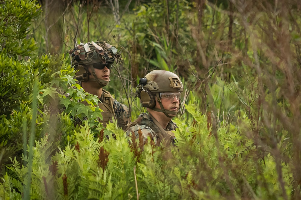 2d Battalion, 6th Marine Regiment Participates in TSULC: Live-Fire Ranges