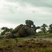 2d Battalion, 6th Marine Regiment Participates in TSULC: Live-Fire Ranges