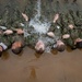 USNA Midshipman Take Part in 2025 Sea Trials
