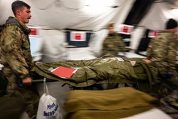 Force Health Protection team conducts site survey with 512th Field Hospital at Vepriai Rocket Base during DEFENDER 2025 in Lithuania [Image 1 of 25]