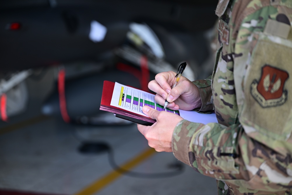 Viper Week strikes Aviano AB