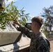 U.S. Marines, Australians practice camouflage skills during Coral-Balmoral Cup