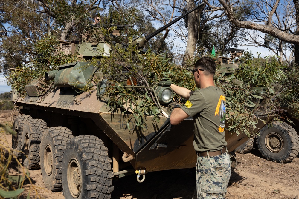 U.S. Marines, Australians practice camouflage skills during Coral-Balmoral Cup