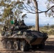 U.S. Marines, Australians practice camouflage skills during Coral-Balmoral Cup
