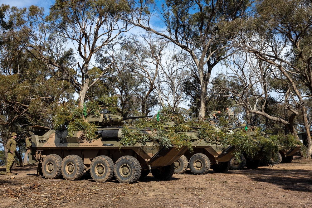 U.S. Marines, Australians practice camouflage skills during Coral-Balmoral Cup